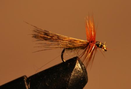 Re: Sección Montaje